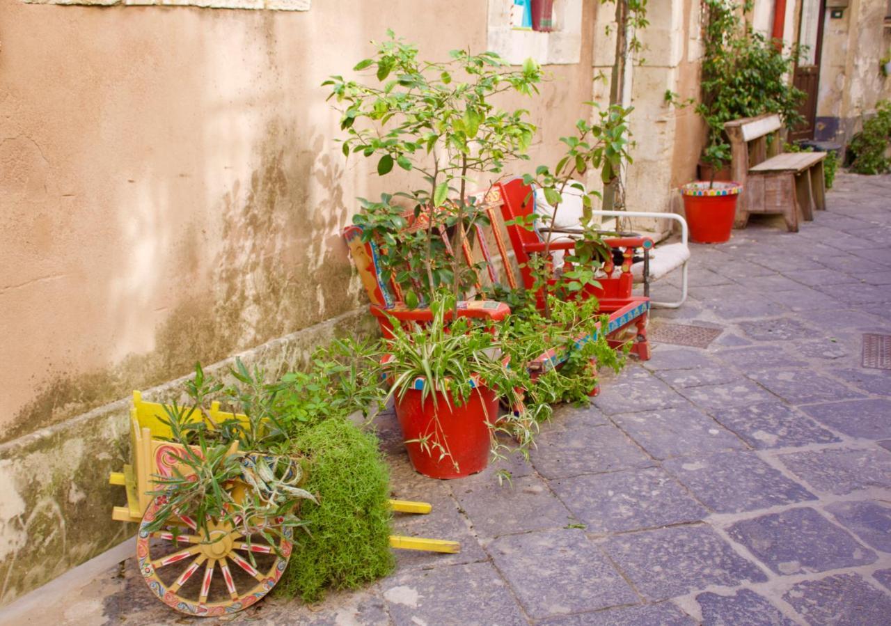 Dionisea Apartment Syracuse