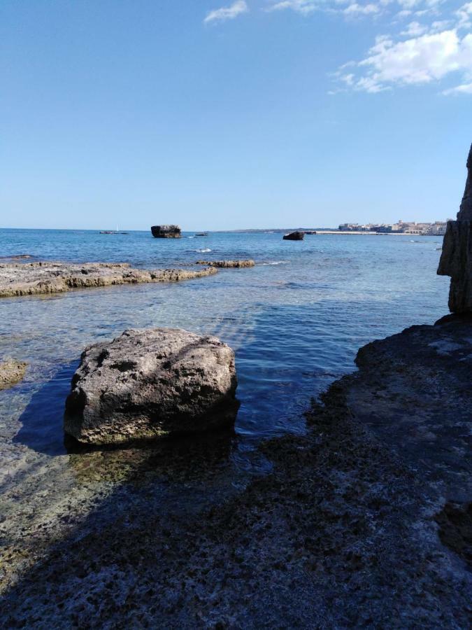 Dionisea